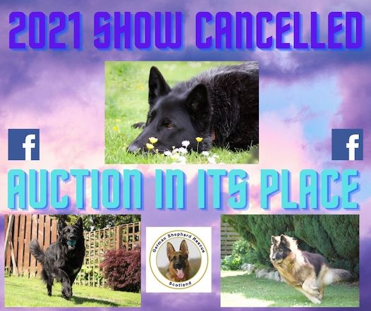 2021 show cancelled