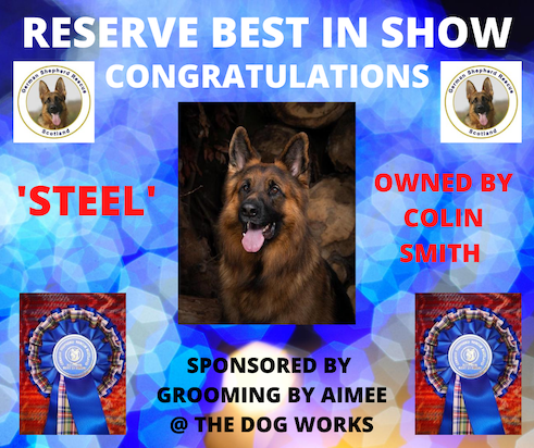RESERVE BEST IN SHOW-2