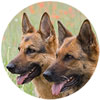 German Shepherd Fridge Magnets