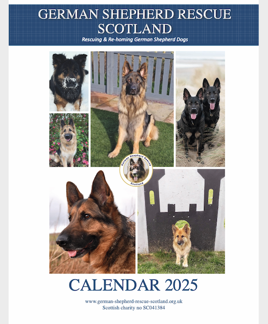 2024 Calendar front cover website