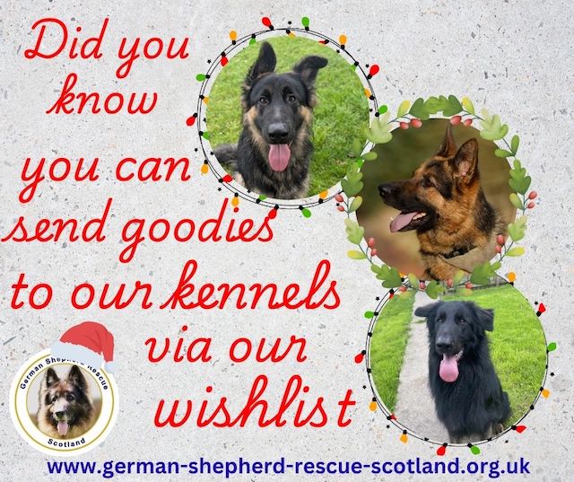 2025 wishlist appeal