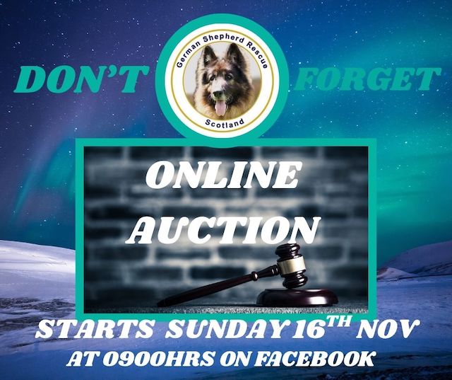 ONLINE AUCTION WEBSITE
