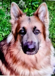 Kane